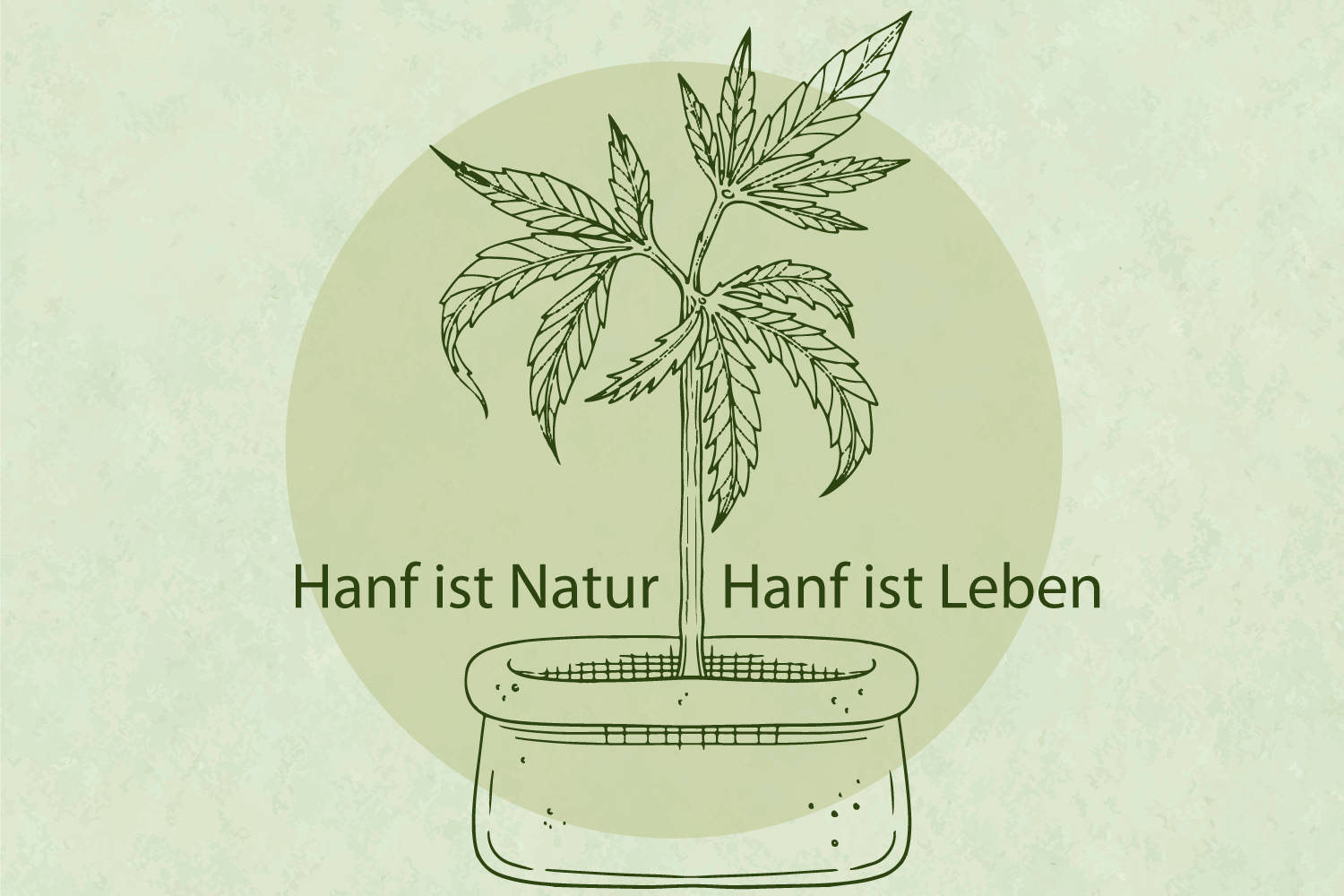 Nutzhanf auf die Felder