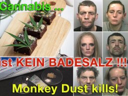 monkey_dust_1500