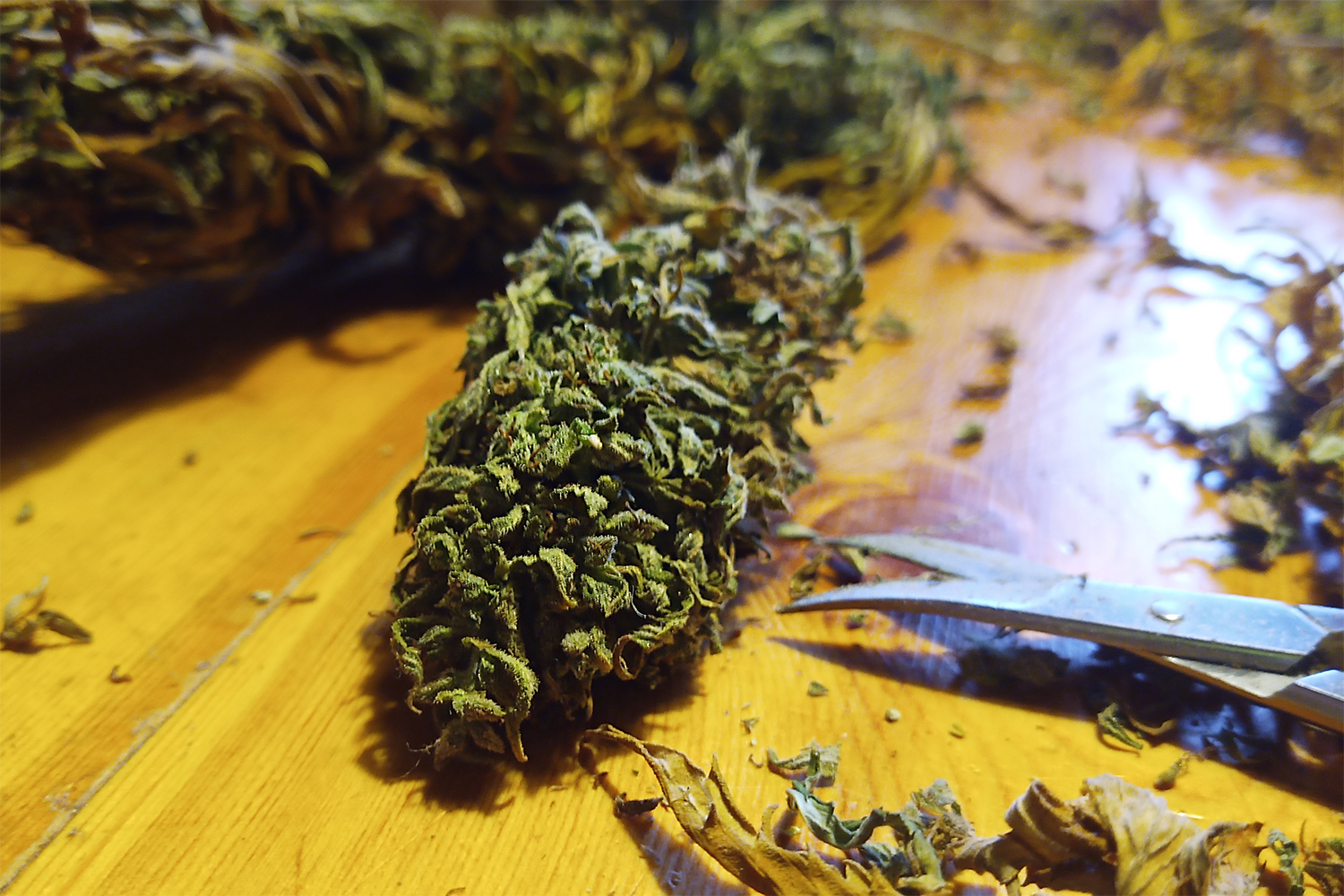 Headbud Trimming
