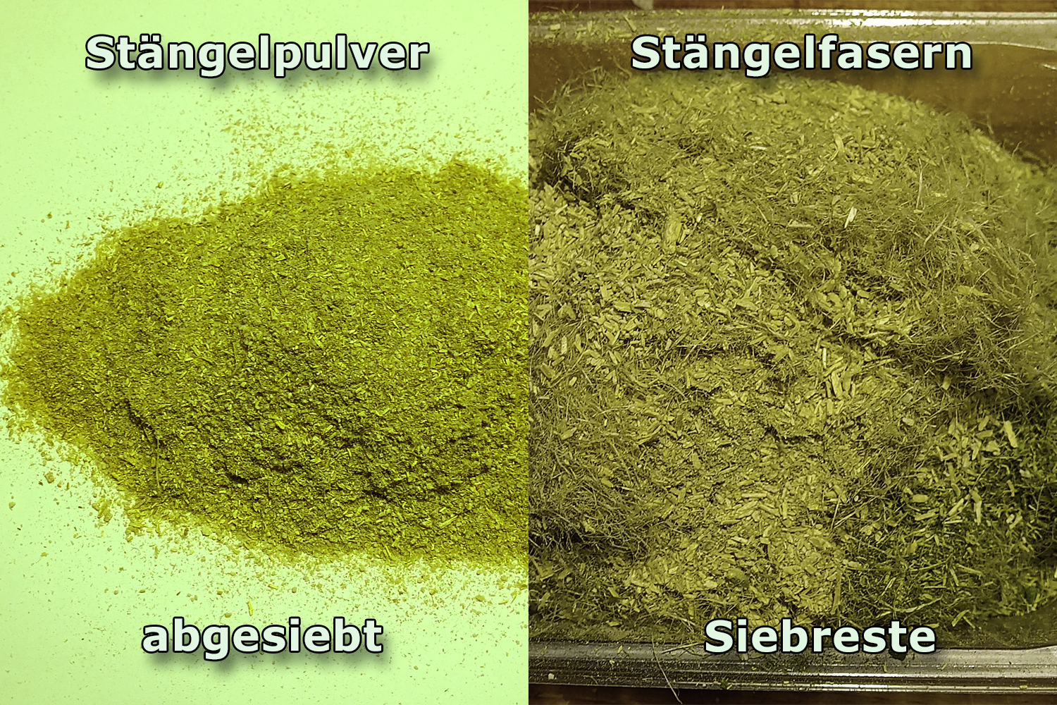Cannabis Stängel Pulver